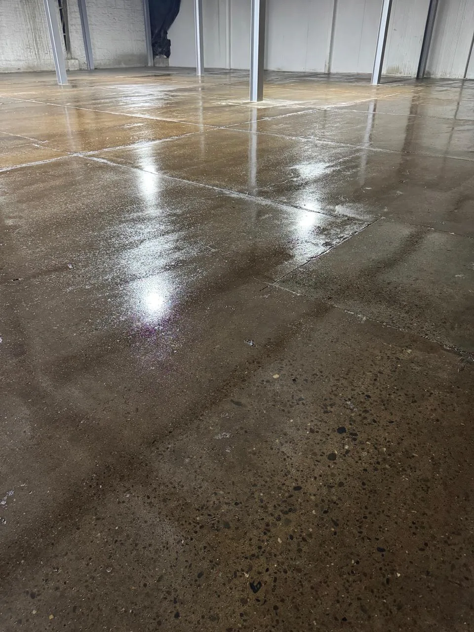 Proyecto Millantú planta Talca